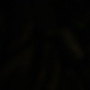 Meet your Posher, Luis